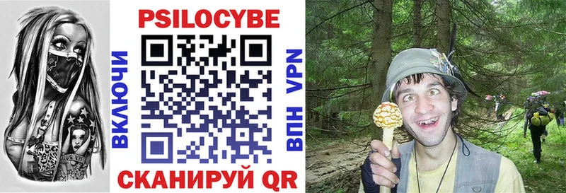 где купить наркотик  Яблоновский  Псилоцибиновые грибы Cubensis 